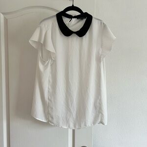 Adrianna Papell Chiffon Collar Blouse SZ L